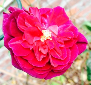 Dear God, tell me the Truth about myself, no matter how beautiful it is