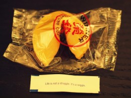 Life is not a struggle, it's a wiggle!